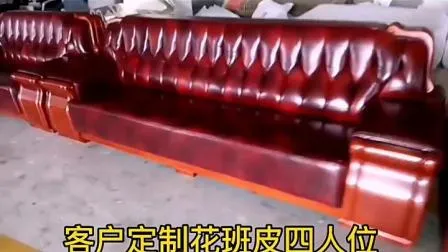 Neueste chinesische Art-Freizeit-Haus-Wohnzimmer-echtes Leder-Sofa-Büro-Möbel